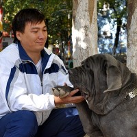 3 Жаныбек и его пёс Банапард в ожидание своего выхода на ринг
