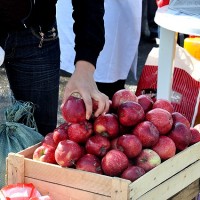 Яблоки стоят на 20% ниже рыночной стоимости