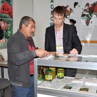 выставка машин2