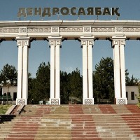 Дендропарк (лето-осень)