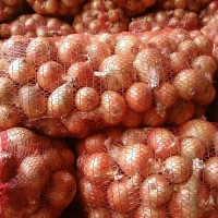 монополия на продажу лука