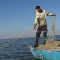 Шок испытали рыболовы Шардаринского водохранилища На Коксарае работают бригады с Шардары