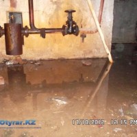 Жители опасаются заходить в собственный подвал