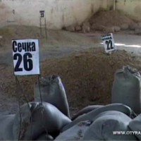 Животноводство «в загоне»! Цены на корма будут повышаться