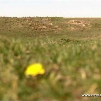 Громкий скандал вокруг грандиозной стройки Казахстана