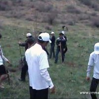 Новые парки высаживаются в Южном Казахстане