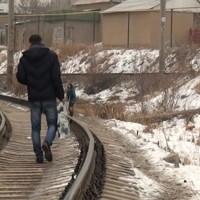 10 человек погибли под колесами поездов в 2014 году в Шымкенте