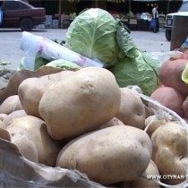 В Шымкенте сезонно выросла цена на картофель