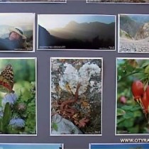 Незнакомый Южный Казахстан. Выставка фотографий Андрея Донца открылась в Шымкенте