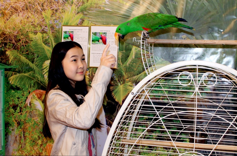 Выставка тропических птиц.