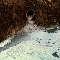 Река покрылась белой толстой пленкой