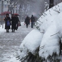 В Шымкенте к воскресенью потеплеет