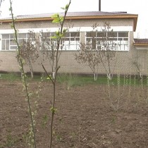 Куда все-таки утекли миллионы