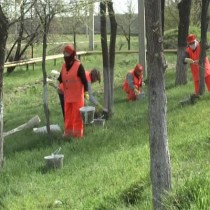 Сегодня продолжились работы по благоустройству Шымкента