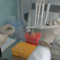 Найти лекарство от старения Марлен Есиркепов мечтал еще в институте