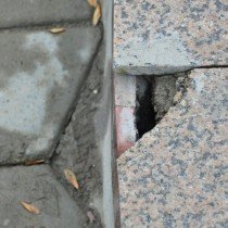 развал парка10