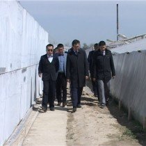 Рабочую поездку министр начал со знкаомства с посевными площадями