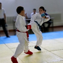 Состязания по карате-до