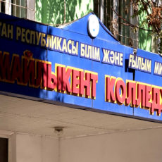 В Южно-Казахстанской области самое большое количество колледжей