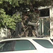 Зеленый пояс