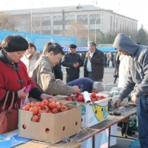 Продовольственная ярмарка Шымкента переехала на новое место