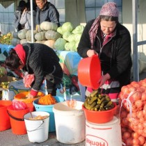 сельхозярмарка