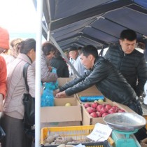 сельхозярмарка