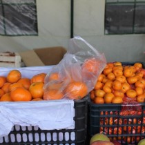 сельхозярмарка