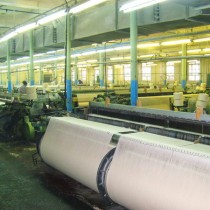 Списывать все на мировой кризис очень легко, и наши чиновники, видимо, еще не раз с удовольствием объяснят многие просчеты и ошибки финансовым кризисом 2011 года