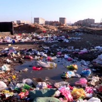 Город задыхается от мусора из-за бескультурья и равнодушия горожан