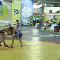 Соревнвания по вольной борьбе