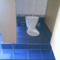 morning_picdump_103_640_241