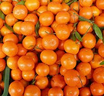 Символ праздника: как выбрать вкусные мандарины к Новому году Мандарины