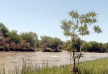 Уровень воды трех рек Туркестанской области поднялся