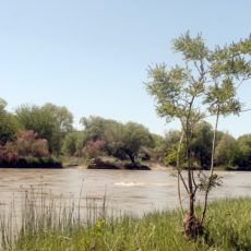 Уровень воды трех рек Туркестанской области поднялся