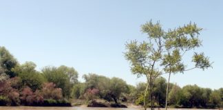 80 фактов незаконной ловли рыбы выявлено в ЮКО