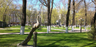 Кто сделает Шымкент зеленым?