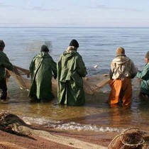 За три дня ОПМ «Табиғатты қорғау -2016» выявлено 12 экологических преступлений