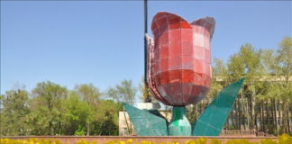 В ближайшие дни синоптики обещают теплую погоду