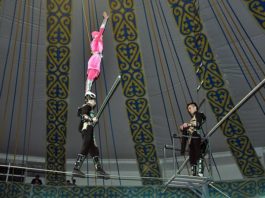 На глазах у сотни зрителей циркачи демонстрируют невероятные трюки