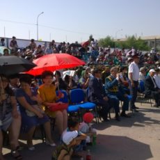 WP_20140507_10_49_24_Pro