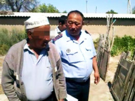 Шымкентский пенсионер выращивал маковую соломку на участке