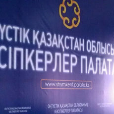 183 миллиона предпринимательских тенге сэкономили эксперты