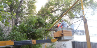 Шымкент подсчитывает ущерб, нанесенный ураганным ветром