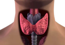 «Сухопутная» болезнь южан