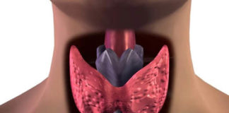 «Сухопутная» болезнь южан