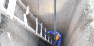 В Шымкенте корова провалилась в септик