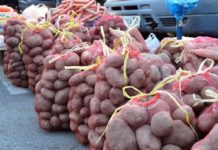 Мырзахметов прокомментировал подорожание картофеля Килограмм картошки на базаре продают по 170 тенге