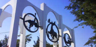 Реконструкция кардинально изменит шымкентский зоопарк