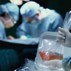 В Шымкенте усиливают работу по развитию донорства органов